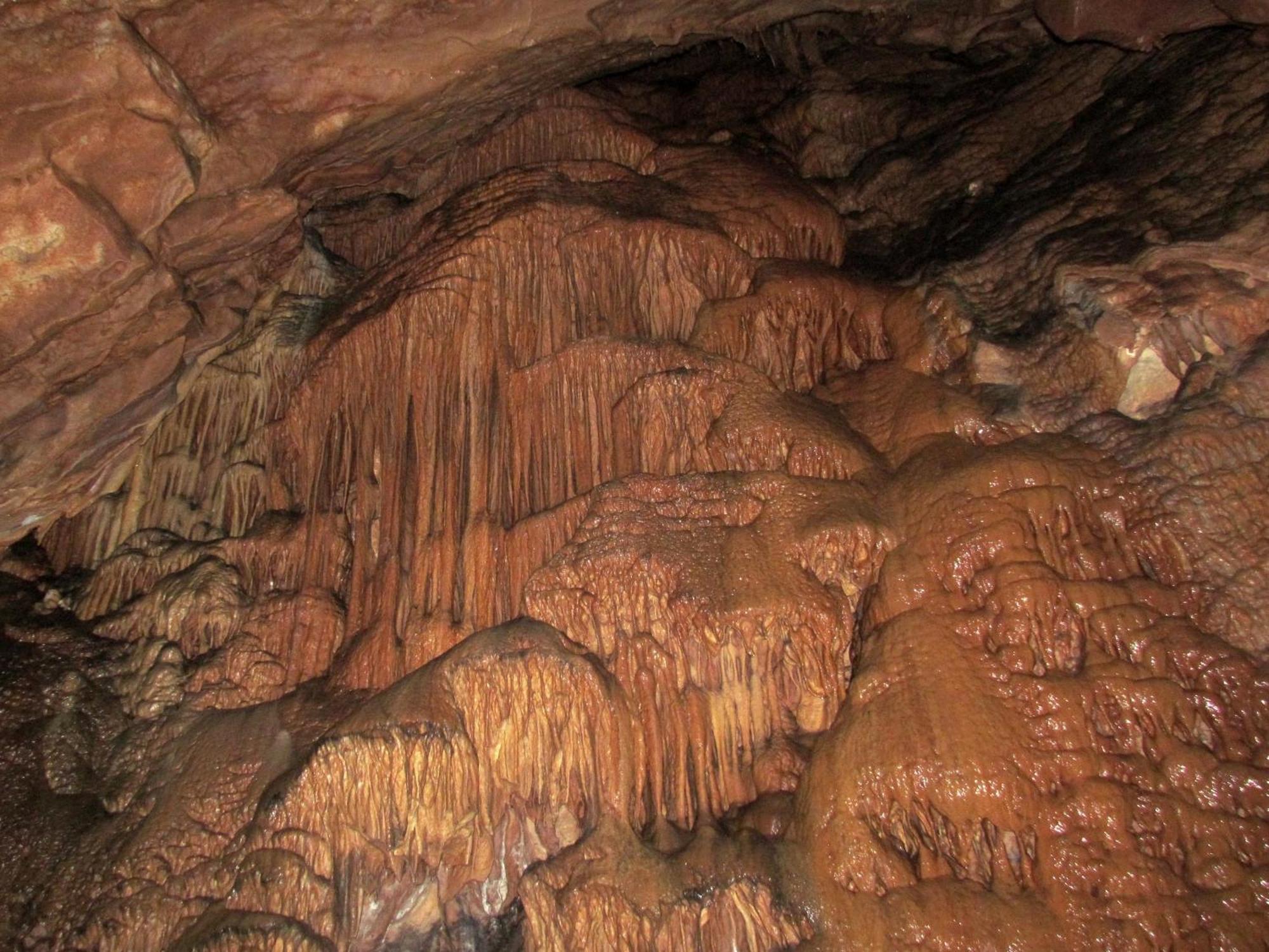Pension Na Meji Pivka Dış mekan fotoğraf